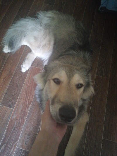 Иллюстрация к комментарию