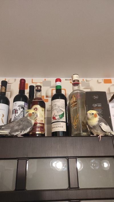 Иллюстрация к комментарию