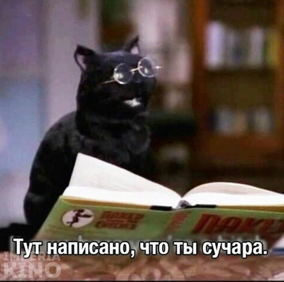 Иллюстрация к комментарию