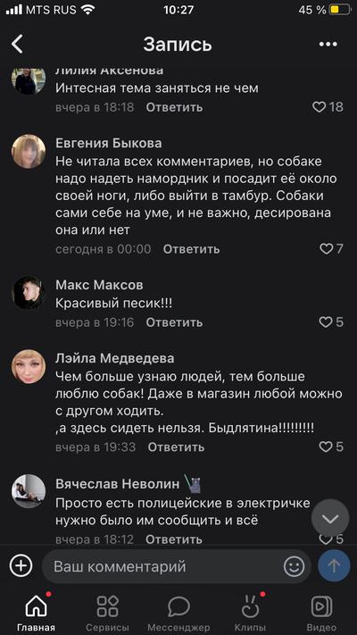 Иллюстрация к комментарию