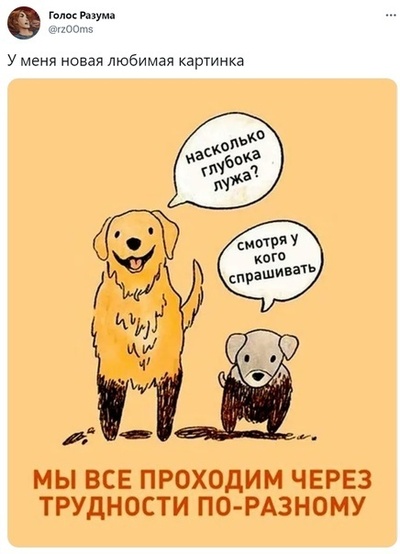 Иллюстрация к комментарию