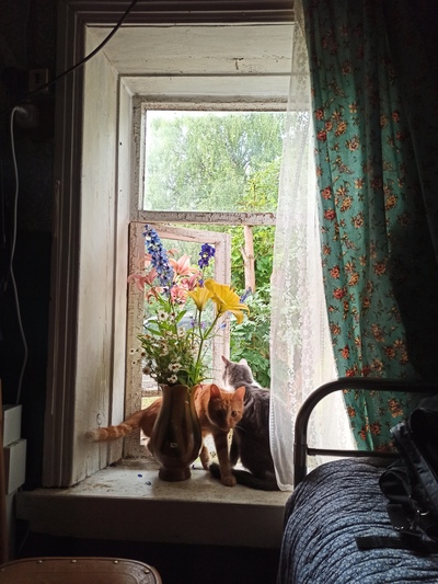 ����������� � �����������