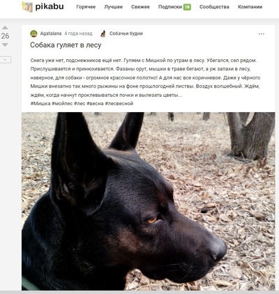 ����������� � �����������