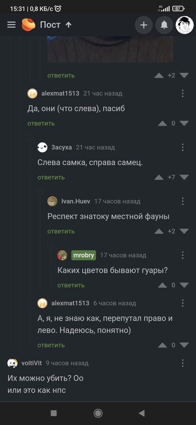 ����������� � �����������