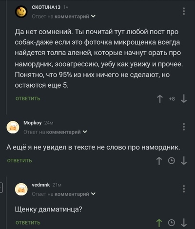 Иллюстрация к комментарию
