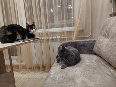 ����������� � �����������