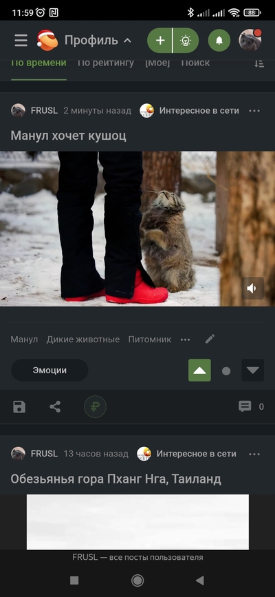 ����������� � �����������