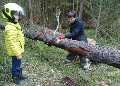 ����������� � �����������