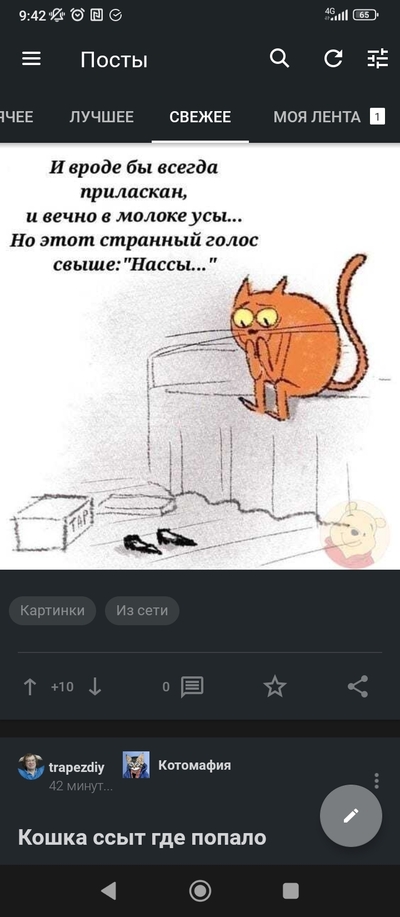 ����������� � �����������