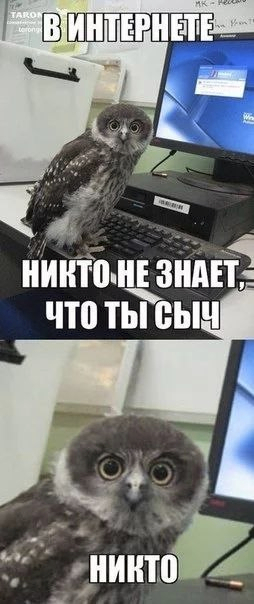 Иллюстрация к комментарию