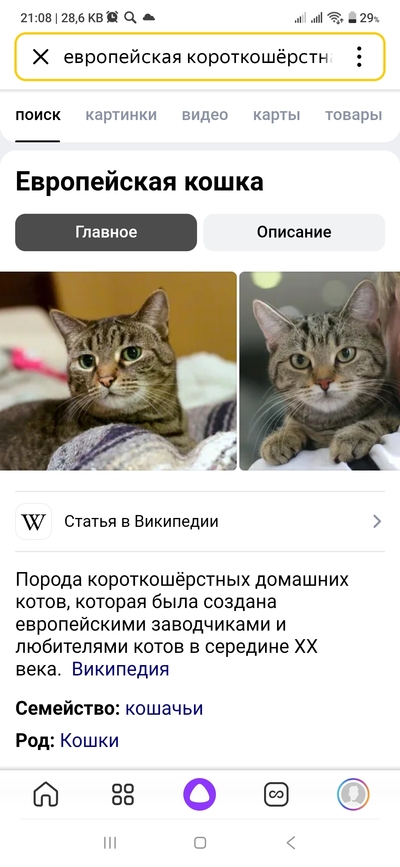 ����������� � �����������