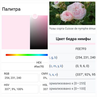 ����������� � �����������