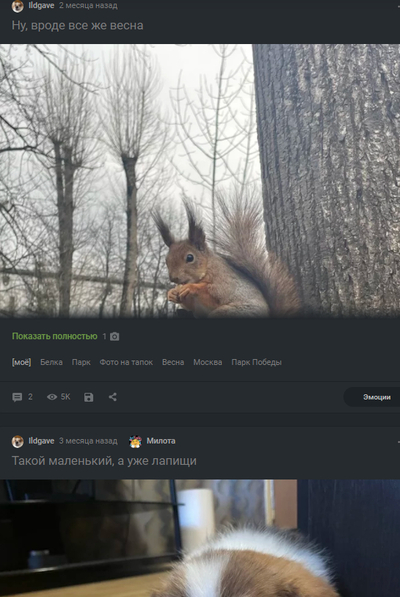 Иллюстрация к комментарию