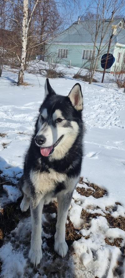 Иллюстрация к комментарию