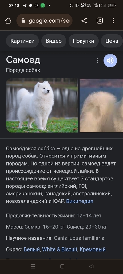 ����������� � �����������