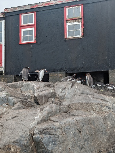 ����������� � �����������