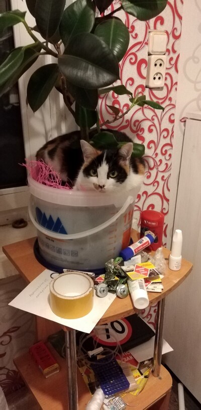 Иллюстрация к комментарию