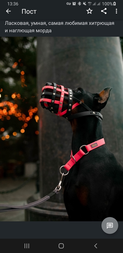 Иллюстрация к комментарию