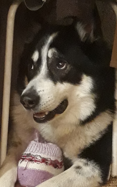 Иллюстрация к комментарию