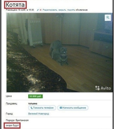 Иллюстрация к комментарию