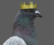 ����� � ������