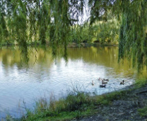 ������ � ������ ���������