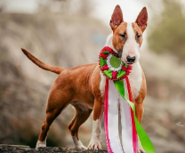 ������ � ������� �����