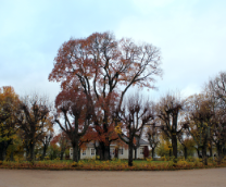 �����������: ����������, ������������, �������