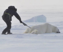 ����������� �����