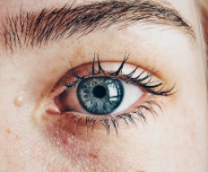 3EHKA � �����