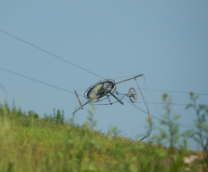 ����������