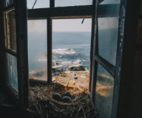 ����������� ���� [���������]