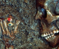 ������ �������