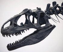 ������������� [��]