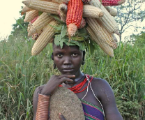 �������������