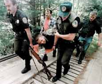 ���� ����� ��� ���������