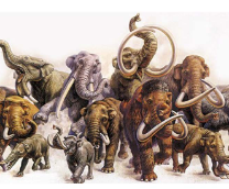 �������������