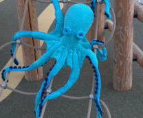 ���� �� �����