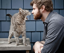 ��������� ��������