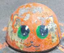 ��������/�������