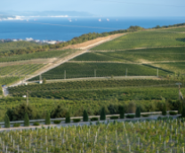 ���������� ������ ������