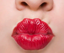 ���������� - �������