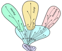 ������ �� �������� �����