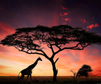 �������