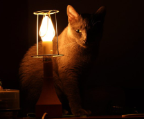 ������� Sheridan'�