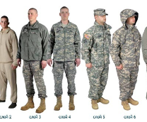 ������� 7 �����