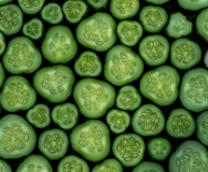 ���-����