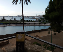 ����� �� ������������ ����