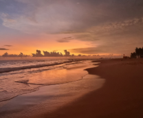 ������ � �������������