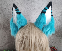 ��� �����